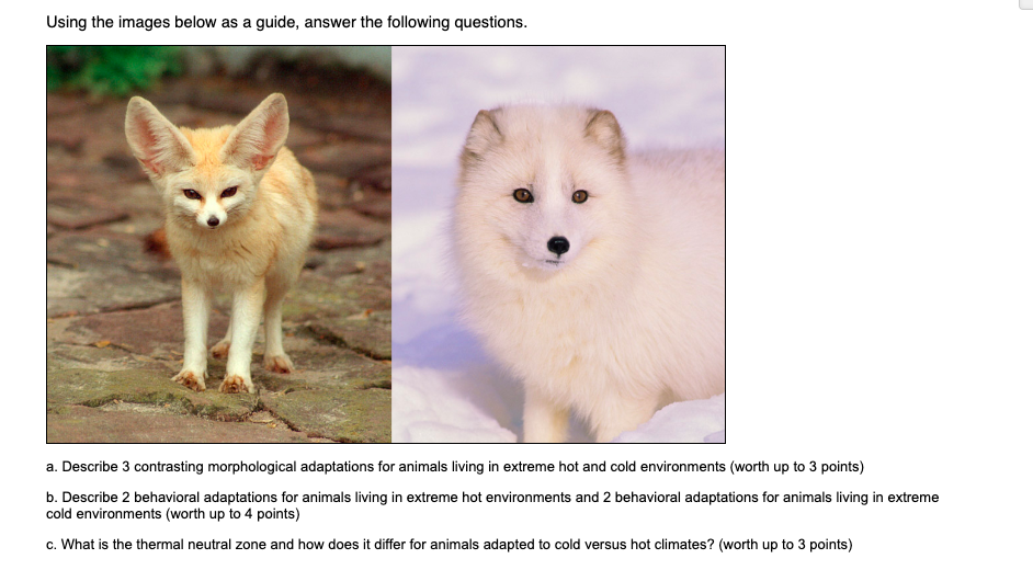Solved Using the images below as a guide, answer the Solved Using the images below as a guide, answer the