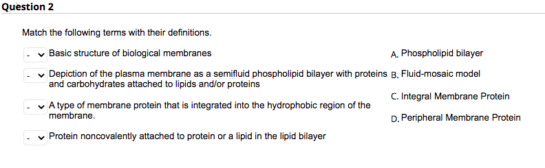 Solved Question 2 Match the following terms with their | Chegg.com