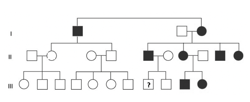 Solved 1. Considering the following pedigree: a) What is | Chegg.com