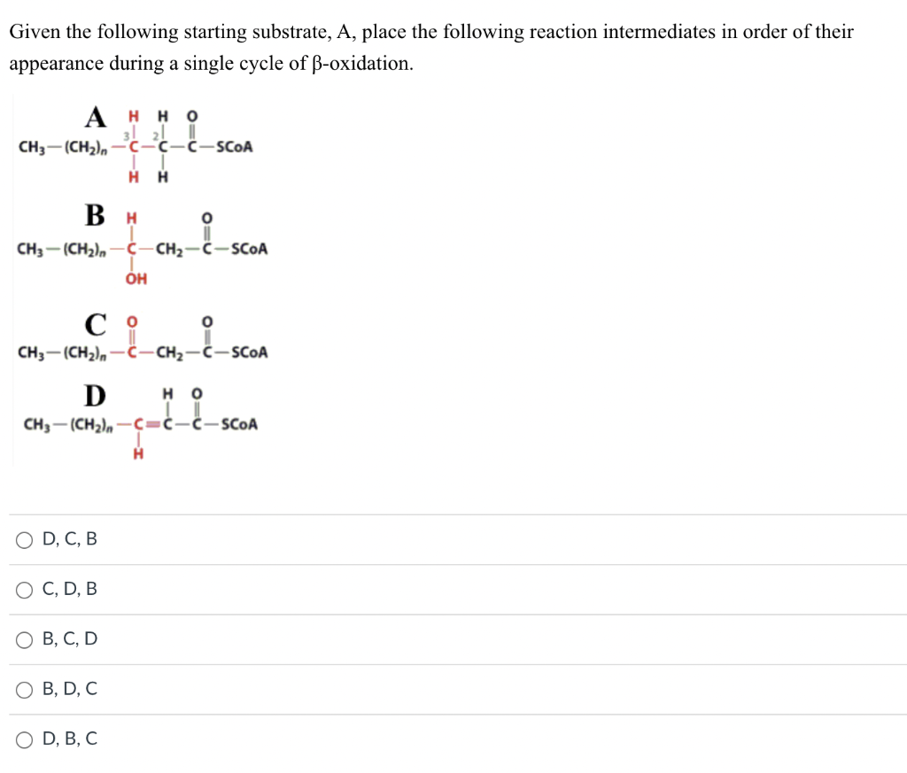 Solved Given The Following Starting Substrate, A, Place The | Chegg.com