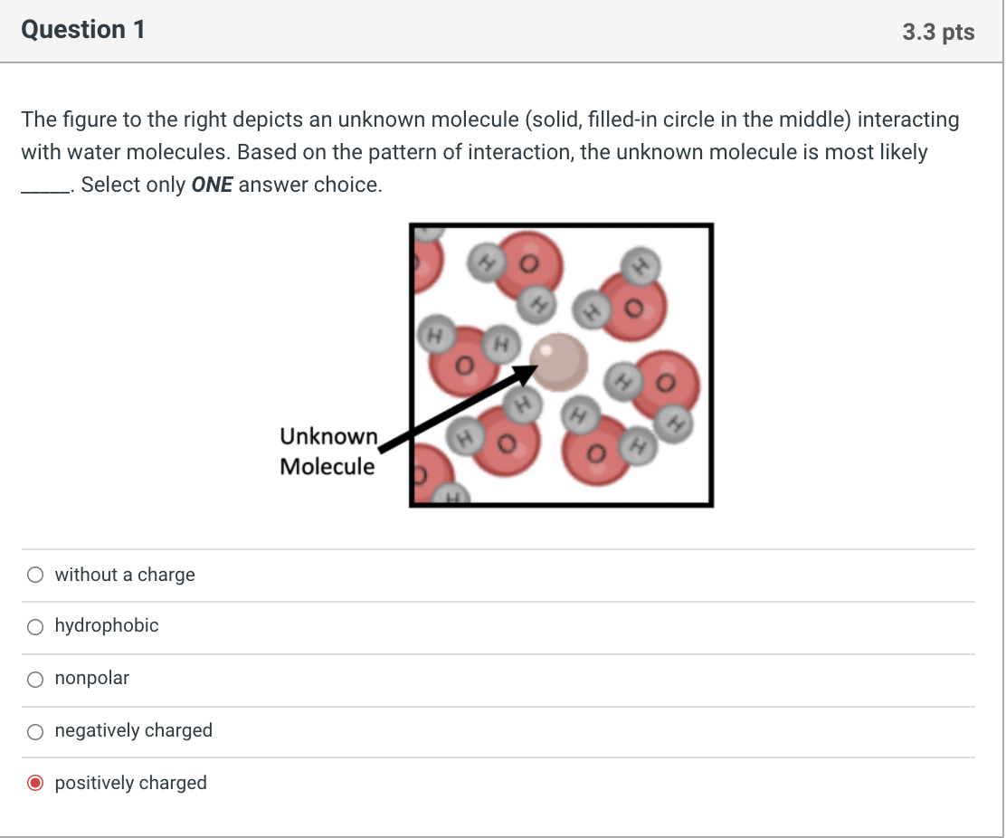 Solved Question 1 3.3 pts The figure to the right depicts an | Chegg.com