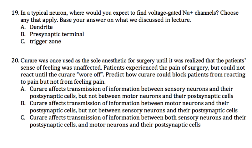 Solved 19. In a typical neuron, where would you expect to | Chegg.com