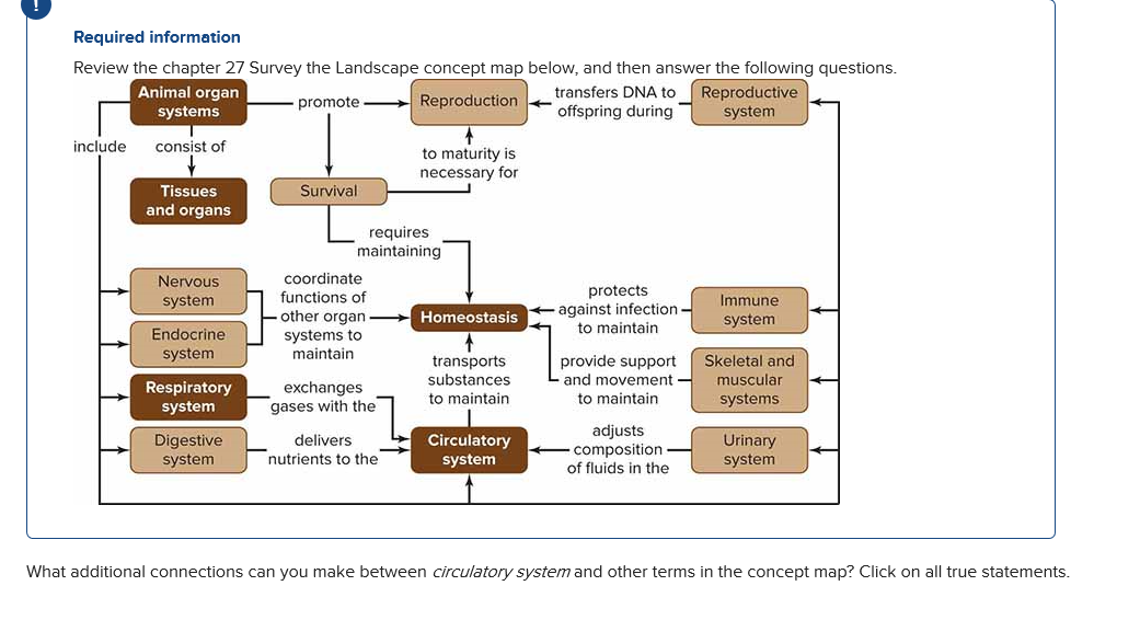 solved-required-information-review-the-chapter-27-survey-the-chegg