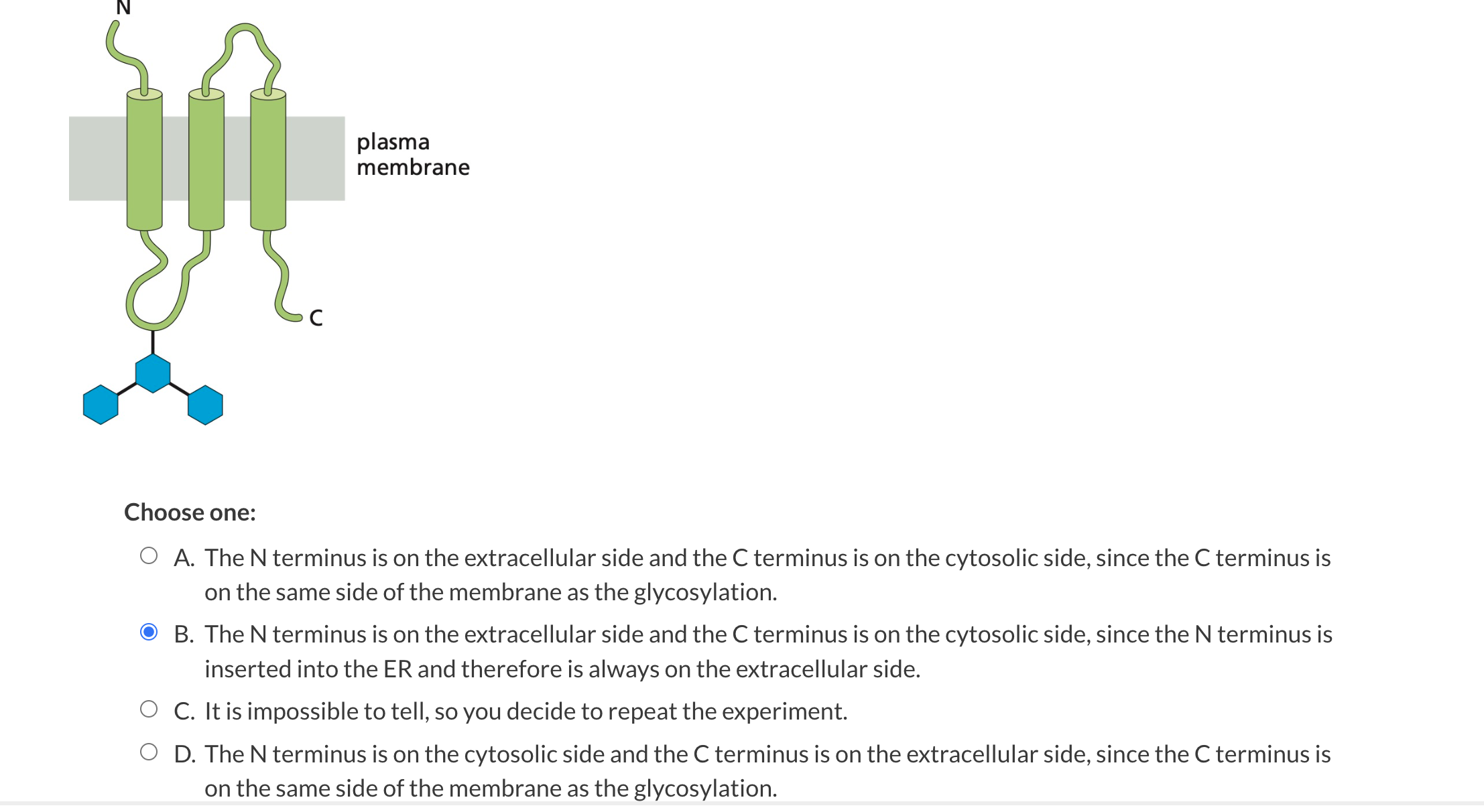 Solved You join a lab studying a receptor protein thought to | Chegg.com