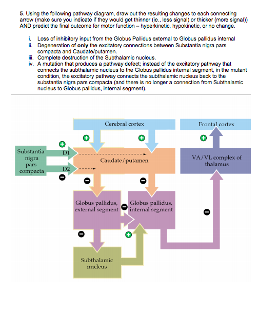 Solved 5. Using the following pathway diagram, draw out the | Chegg.com