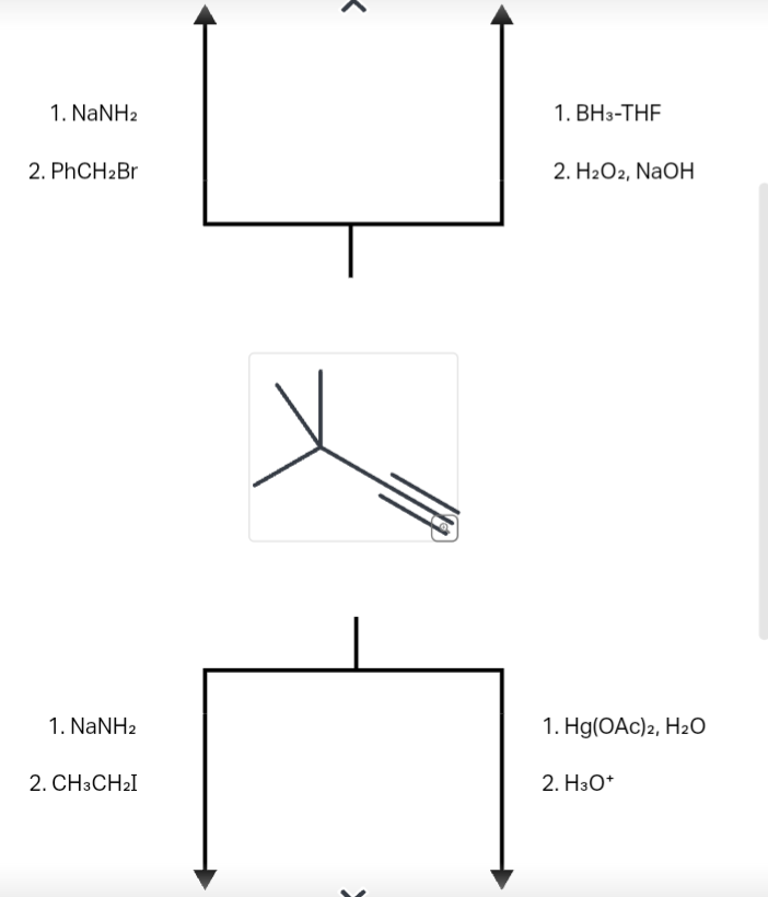 Solved 1 Nanh2 2 Phch2br 1 Bh3−thf 2 H2o2 Naoh 1 Nanh2