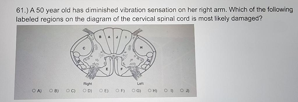Stunning Psychogenic Vibration Feeling image