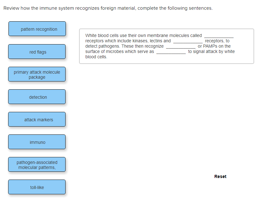 solved-review-how-the-immune-system-recognizes-foreign-chegg