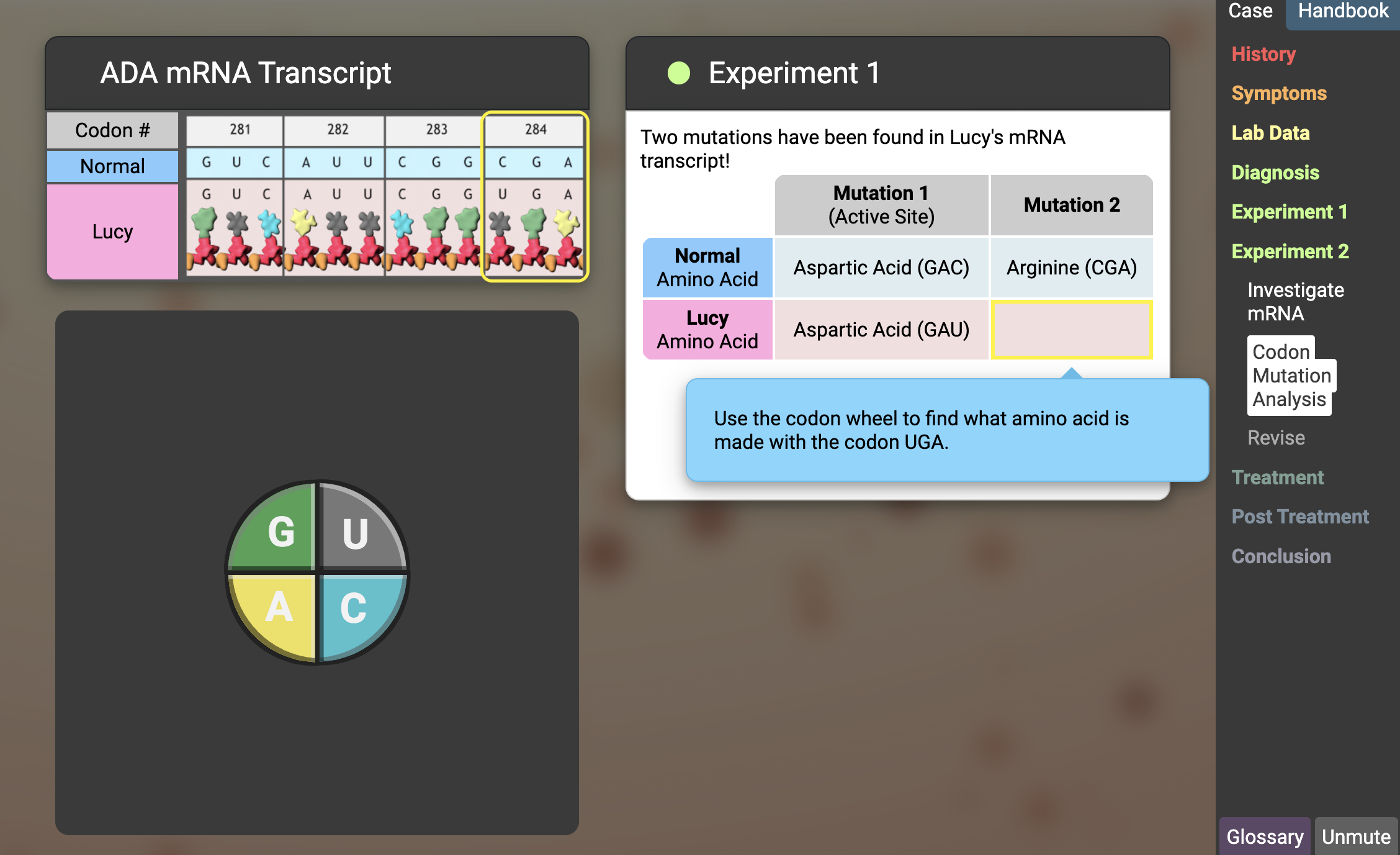 Solved Use the codon wheel to find out its amino acid is | Chegg.com