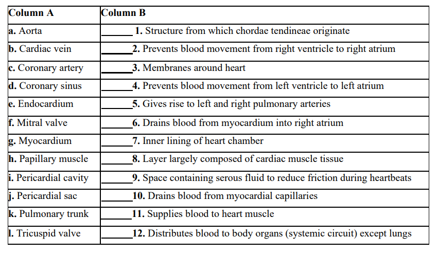 Solved Column A a. Aorta b. Cardiac vein c. Coronary artery 