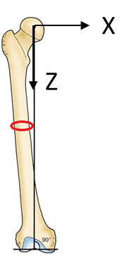 The properties of cortical bones can be modeled as a | Chegg.com