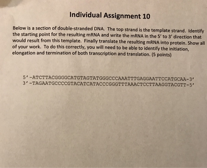 Solved Individual Assignment 10 Below is a section of | Chegg.com