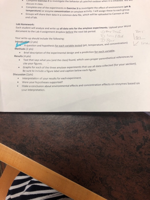 Solved Biology 1113 Lab 4 Enzymes Reading Lab Manual Pp...