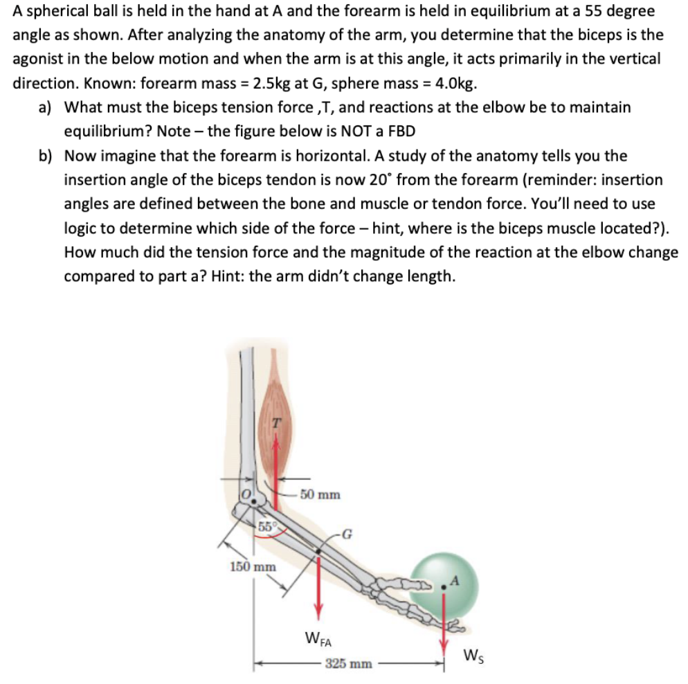 Solved A spherical ball is held in the hand at A and the | Chegg.com