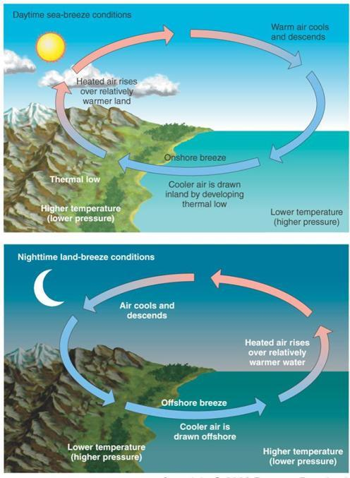 earth breeze vs tru earth