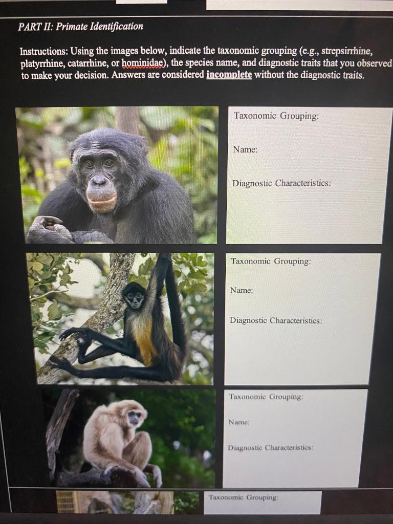 Solved Lab 4: Primate Identification PART I: Primate Vs. | Chegg.com