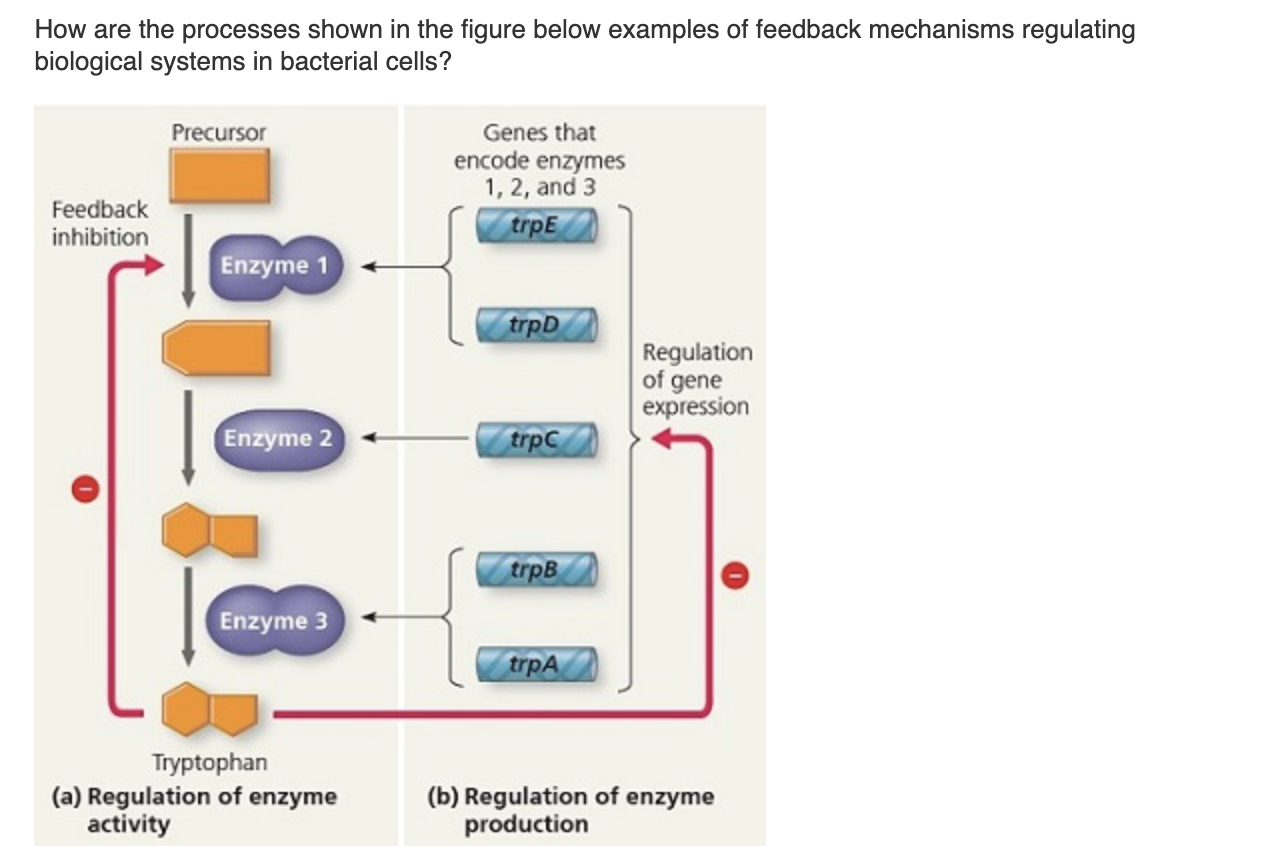 Solved How are the processes shown in the figure below