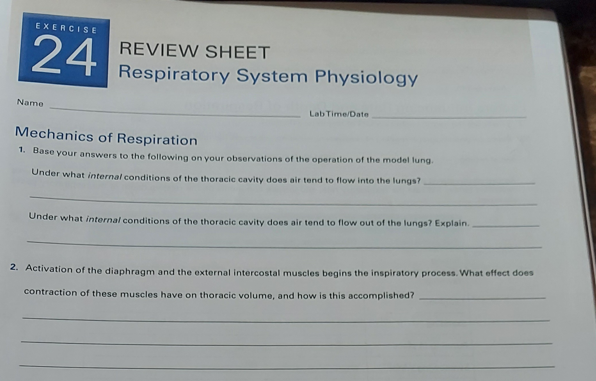 Solved REVIEW SHEET Respiratory System Physiology Name | Chegg.com