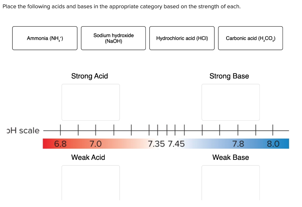 Solved Place the following acids and bases in the