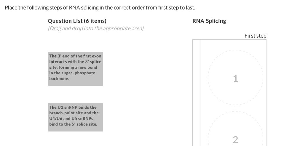 Solved Place the following steps of RNA splicing in the 