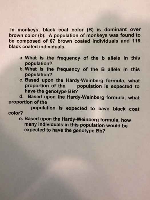 Solved In Monkeys, Black Coat Color (B) Is Dominant Over | Chegg.com