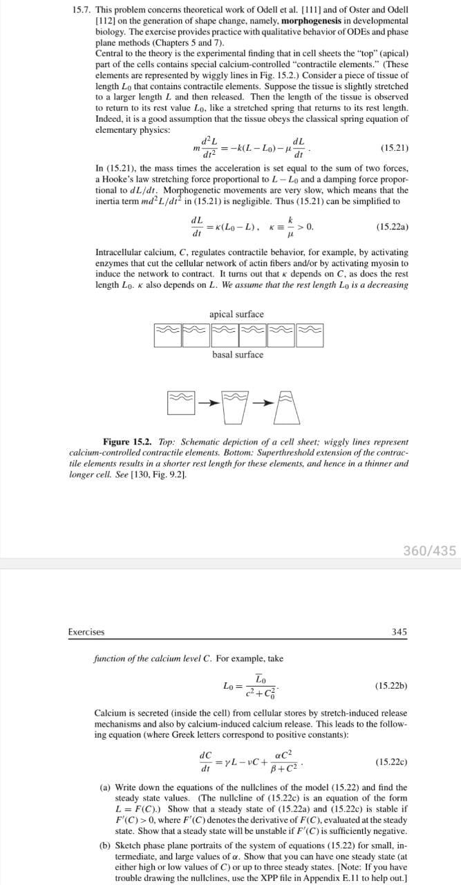 phase-plane-phase-portrait-phase-diagram-plot-mathematics-angle-leaf