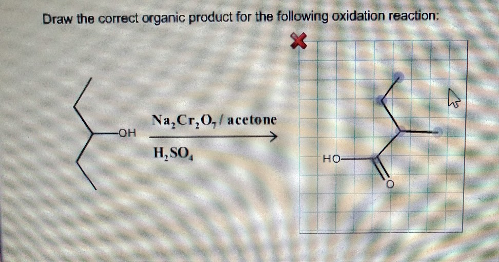 Solved Draw the correct organic product for the following