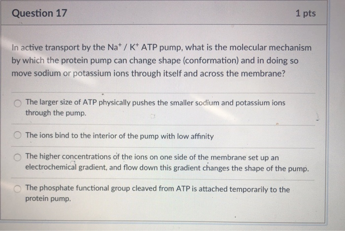 Solved Question 17 1 pts In active transport by the Na/K ATP | Chegg.com