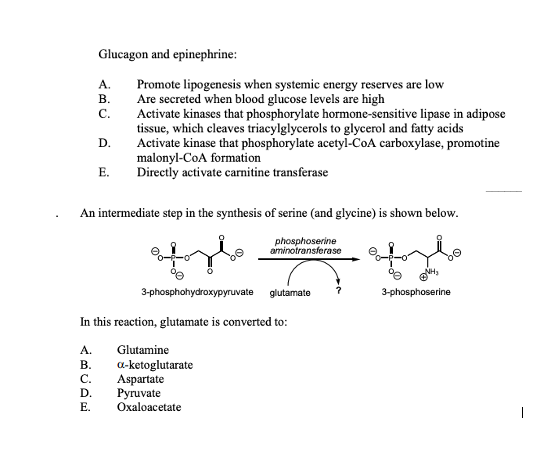 Solved Glucagon and epinephrine: A. Promote lipogenesis when | Chegg.com