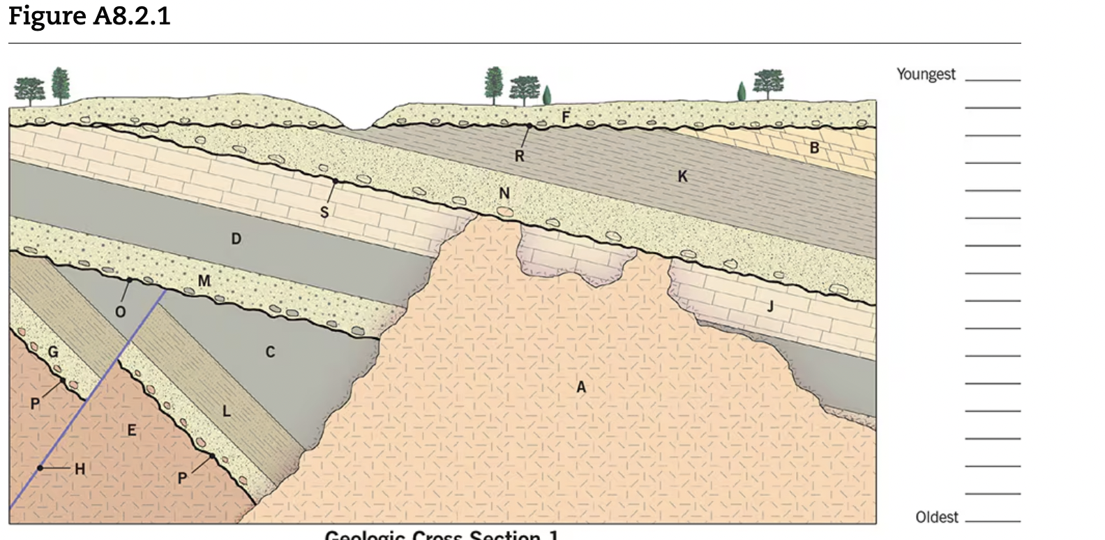 Solved Figure A8.2.1Examine the Geologic Cross Section 1 | Chegg.com