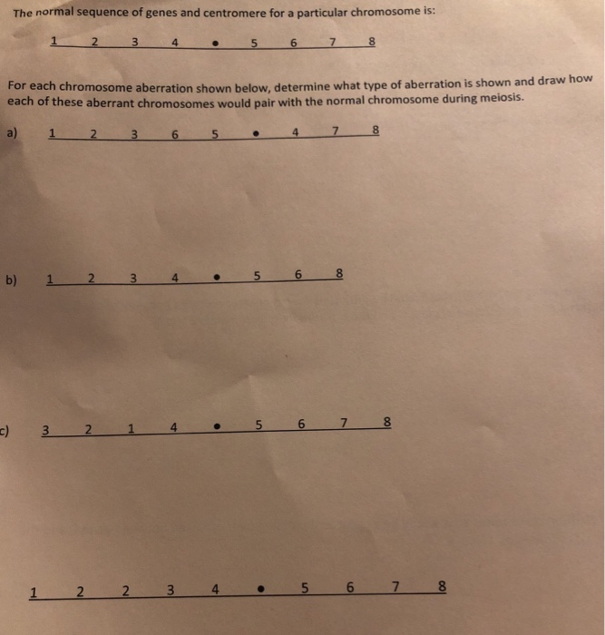 Solved The normal sequence of genes and centromeres for a | Chegg.com