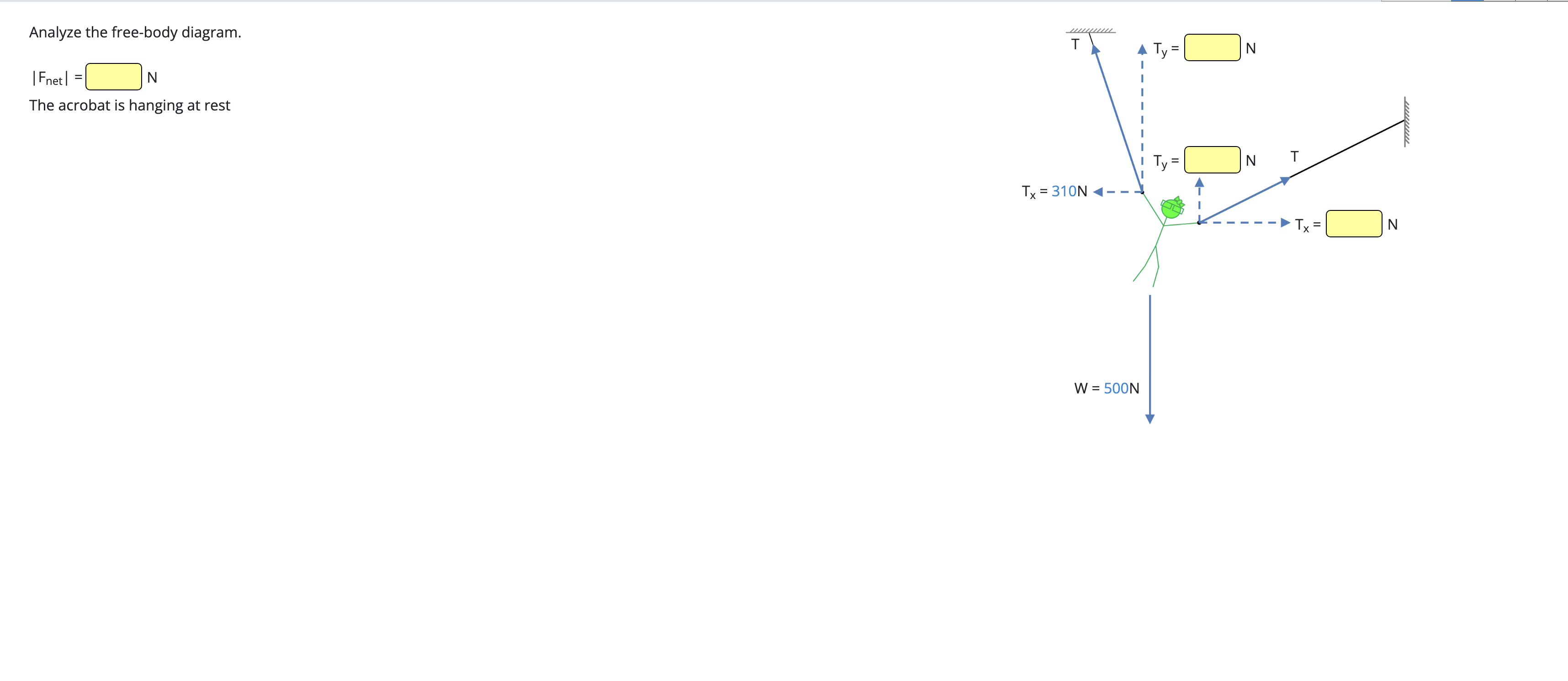 Solved Analyze the free-body diagram.|Fnet |=NThe acrobat is | Chegg.com