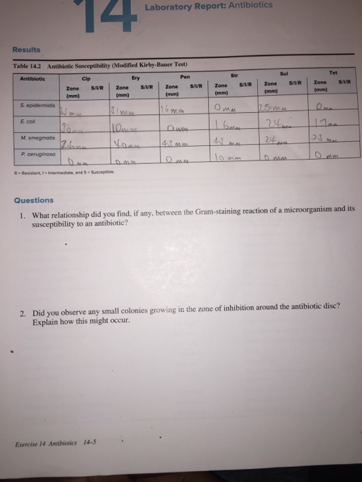Solved Laboratory Report Antibiotics Results Table 14.2