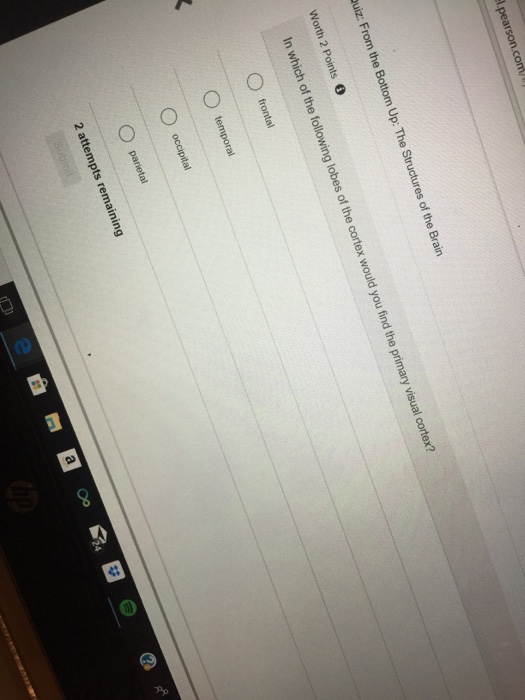 Solved Worth 2 Points。 Which one of the following is NOT a | Chegg.com