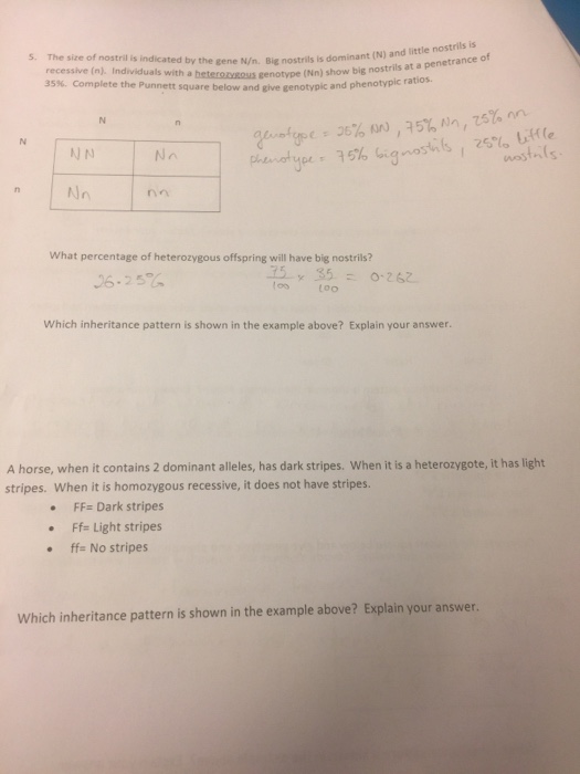 Solved Non-Mendelian Genetics Problems 9-25-17 There Is A | Chegg.com