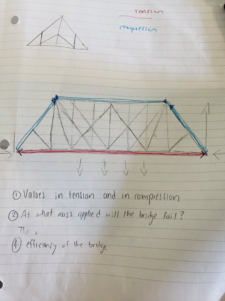 Which struts are in compression and in tension? What