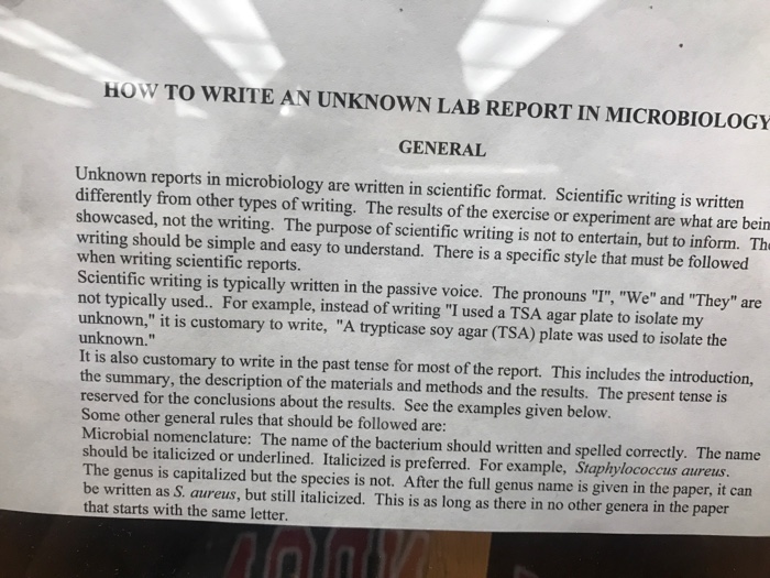 solved-my-gram-negative-unknown-identification-bacteria-is-chegg