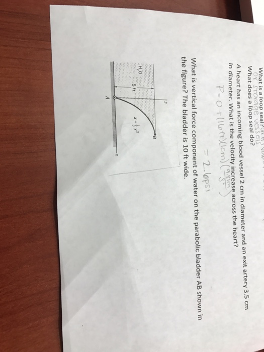 Solved What is a loop seal? What does a loop seal do? A