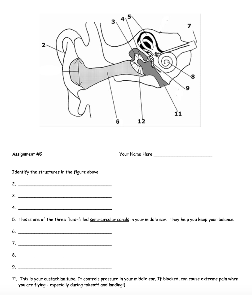 Solved 3, 4,5 7 2 11 6 12 Assignment #9 Your Name Here: | Chegg.com