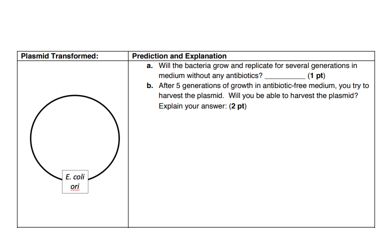 Solved You Have Engineered Plasmids And Used Them To Chegg Com