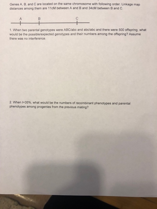 Solved Genes A, B, And C Are Located On The Same Chromosome | Chegg.com