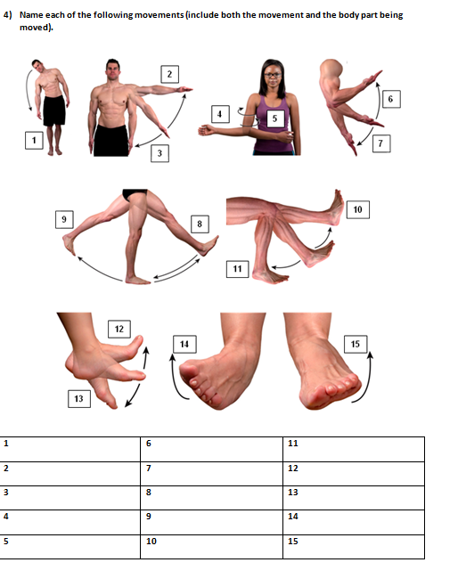 Solved Name each of the following movements (include both