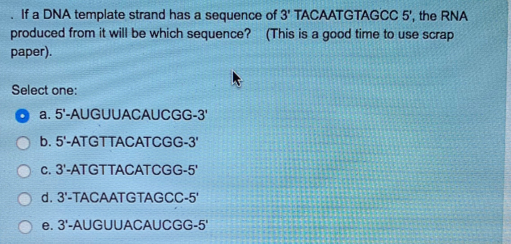 Solved If a DNA template strand has a sequence of 3' | Chegg.com