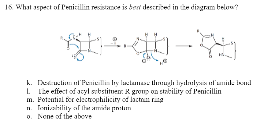 Solved 16 What Aspect Of Penicillin Resistance Is Best Chegg Com   Php2zJKtG