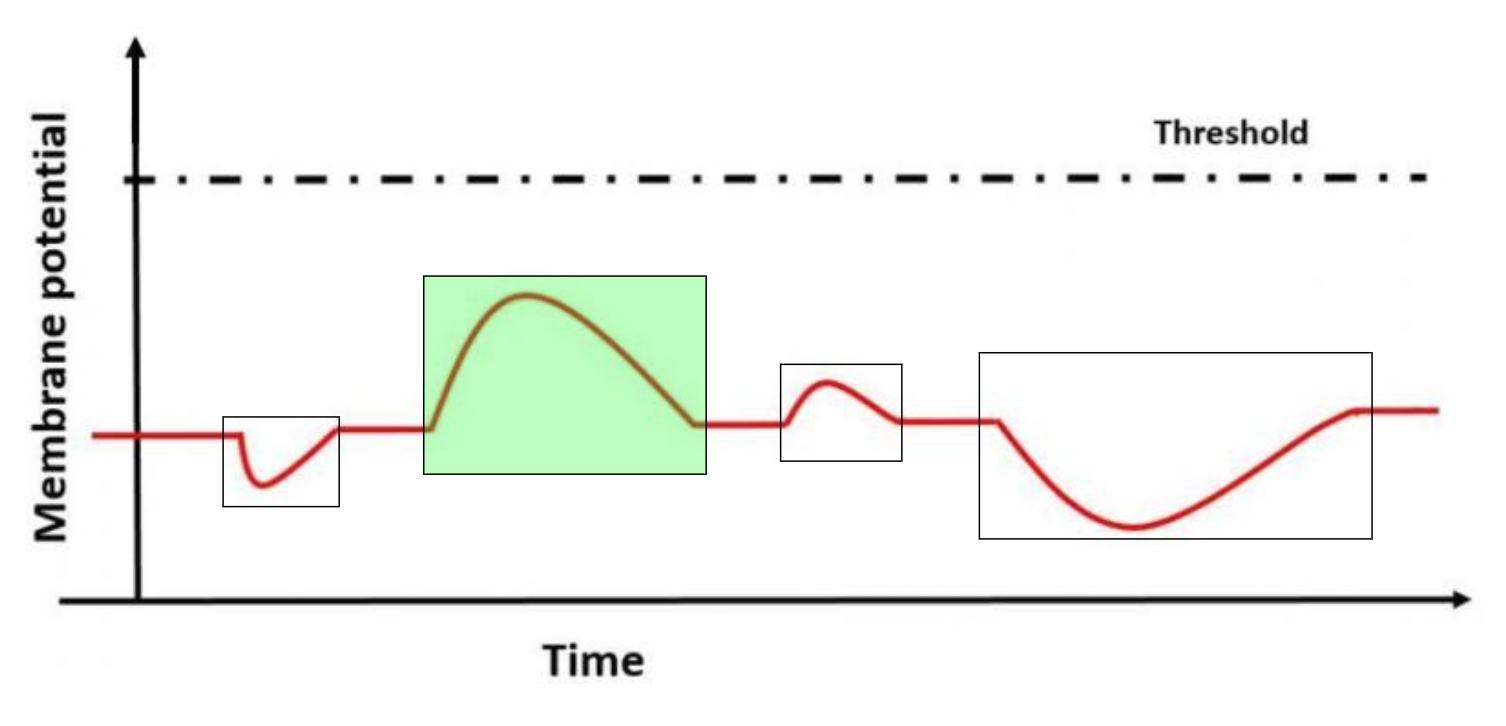 Solved Below is a chart depicting four different | Chegg.com
