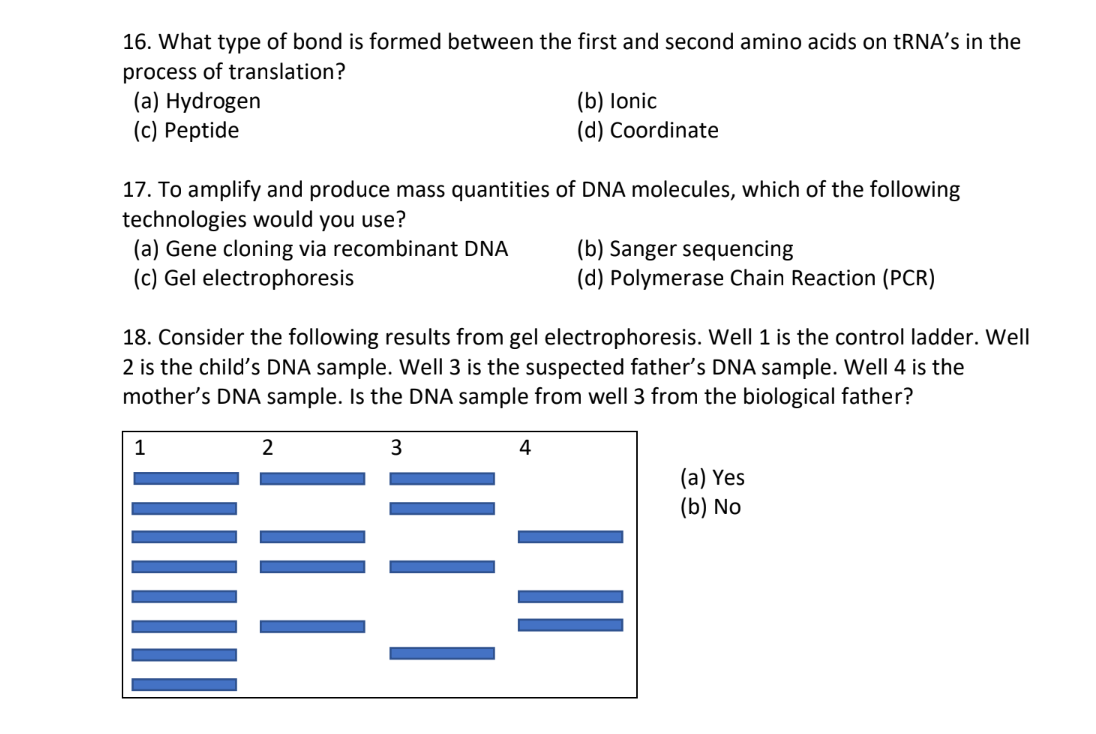 Solved 16. What type of bond is formed between the first and | Chegg.com