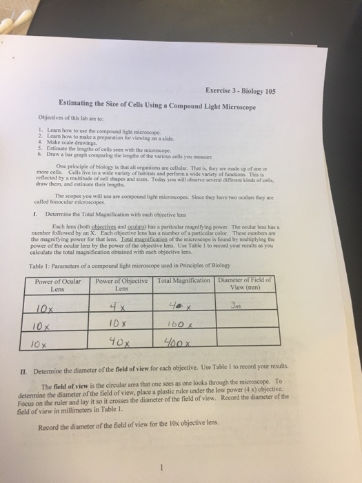 Estimating The Size Of Cells Using A Compound Light Microscope Lab