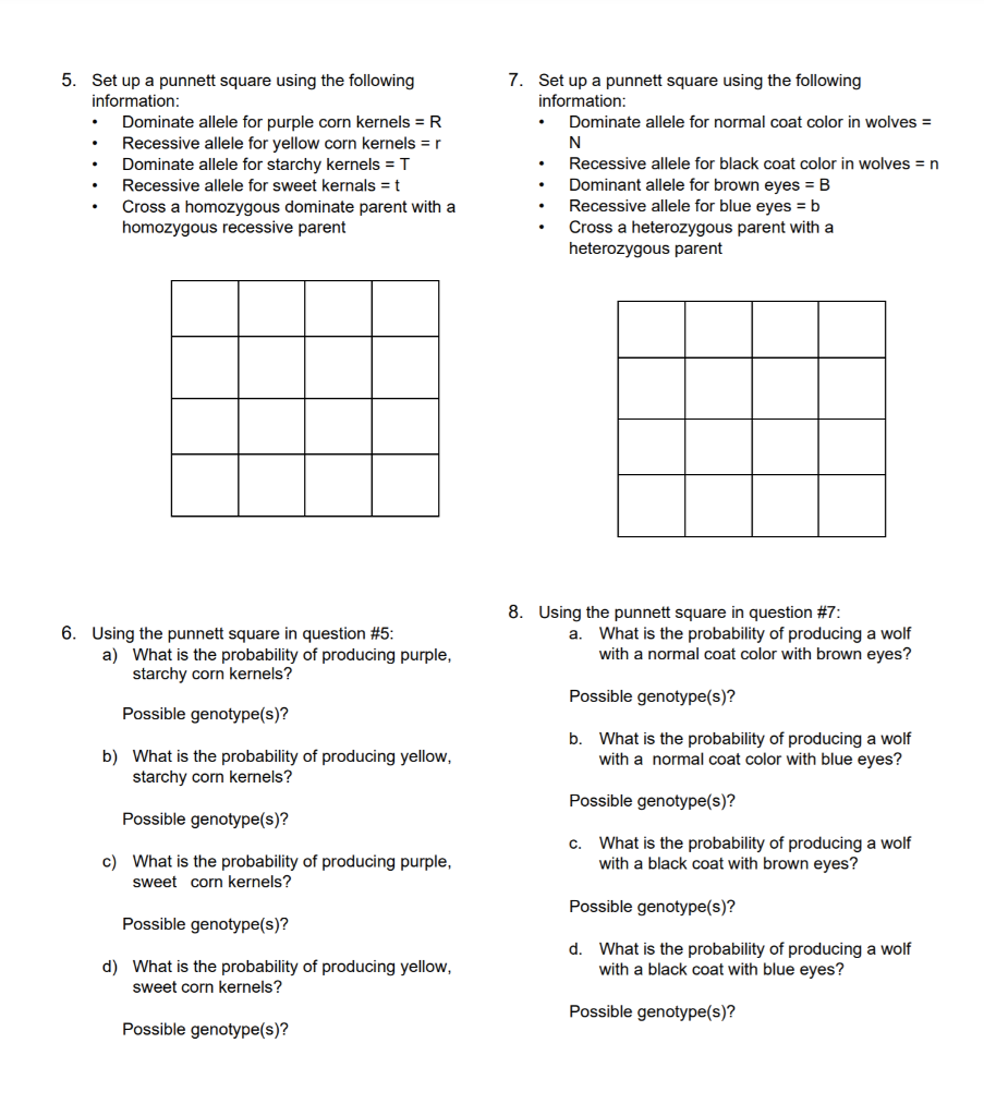 Solved 5. Set up a punnett square using the following | Chegg.com