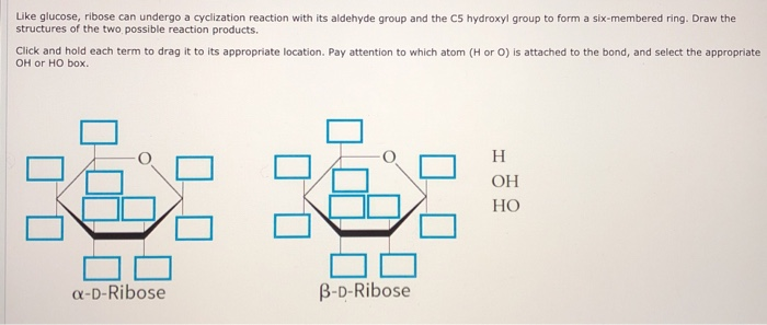 Solved Like Glucose Ribose Can Undergo A Cyclization