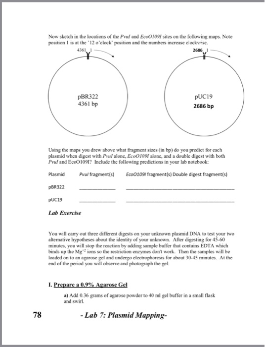 Solved Prelab Exercise For today's lab, imagine that you are | Chegg.com